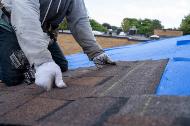 Best Sealant for Roof  in St Charles, MI