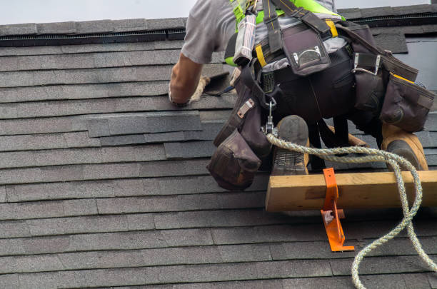 Best Flat Roof Repair Services  in St Charles, MI