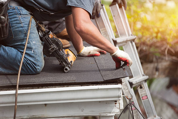 Best Roof Repair Specialists  in St Charles, MI