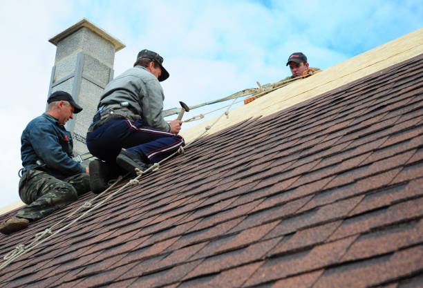 Best Flat Roof Repair Services  in St Charles, MI