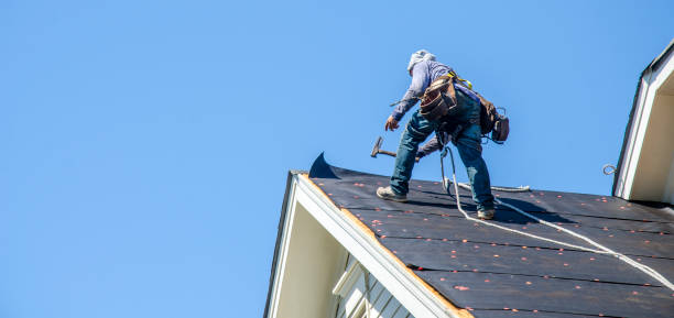 Best Residential Roofing Contractor  in St Charles, MI